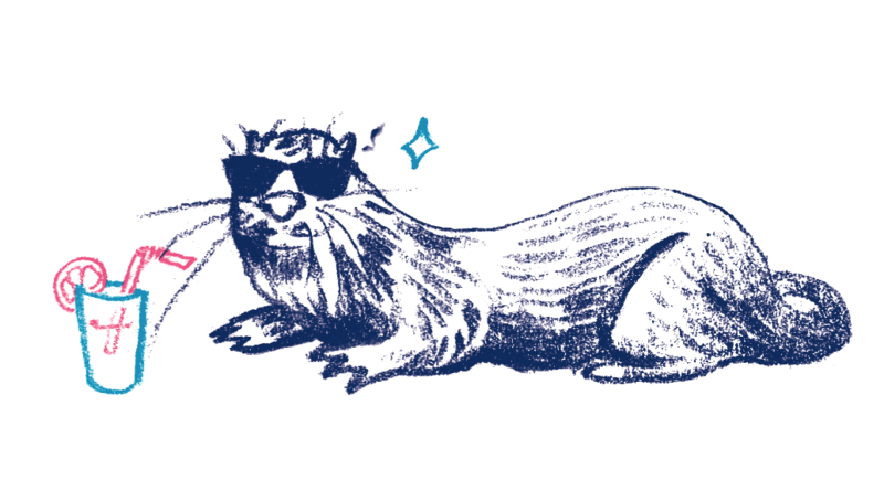 loutre