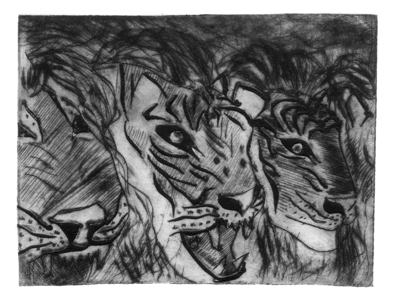 gravTigers