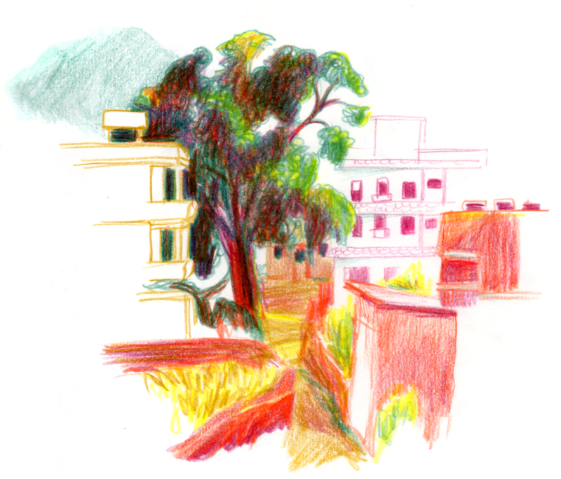 bhainsepati