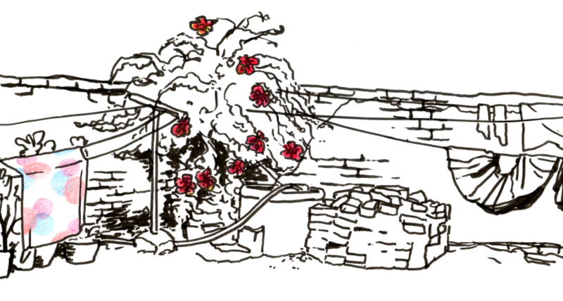 yard